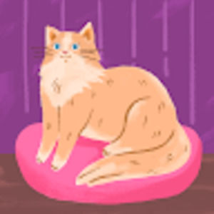 Meet your Posher, Wren